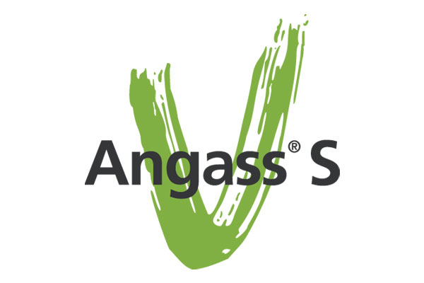 Angass S-Logo